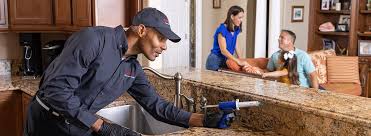 Best Residential Pest Control  in West Rson, CA